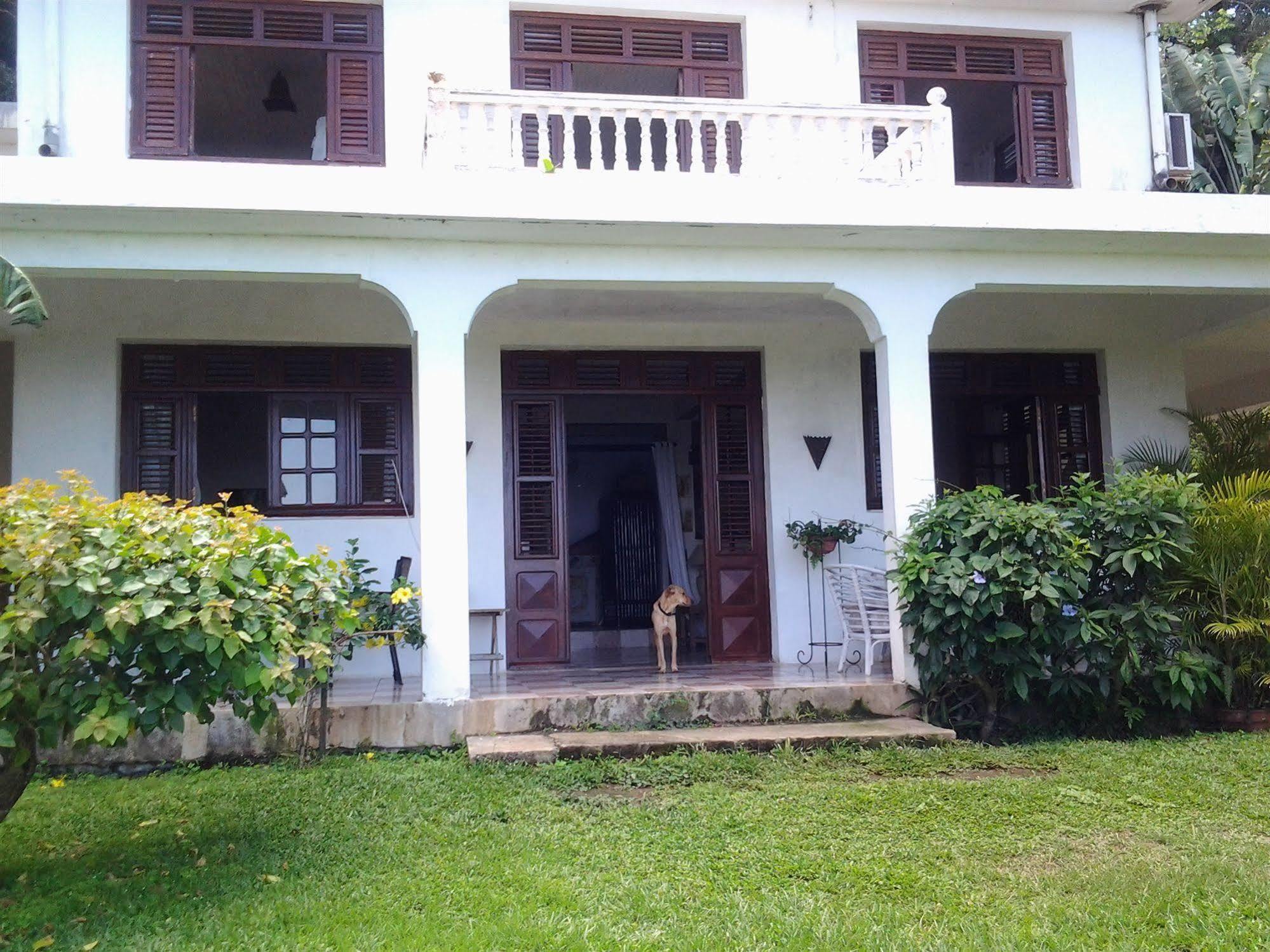 Villa Galerie Les Anses-d'Arlet Extérieur photo