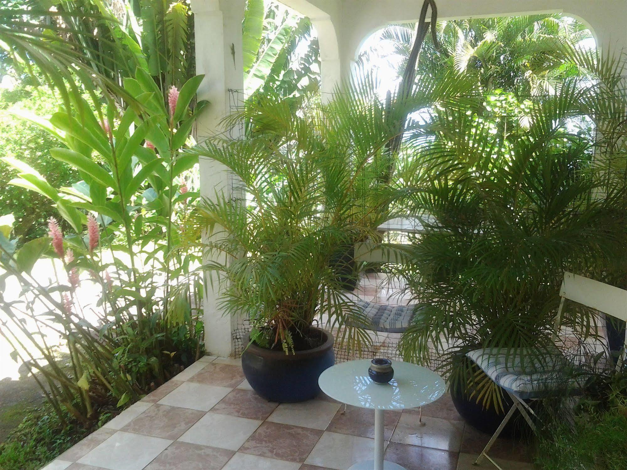 Villa Galerie Les Anses-d'Arlet Extérieur photo